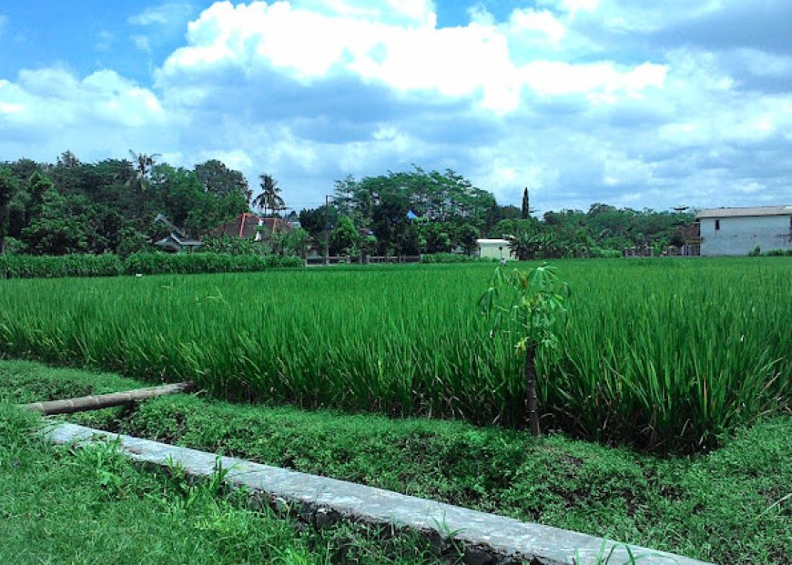 Desa Badalpandean Terus Berbenah: Infrastruktur Meningkat, Akses Makin Mudah